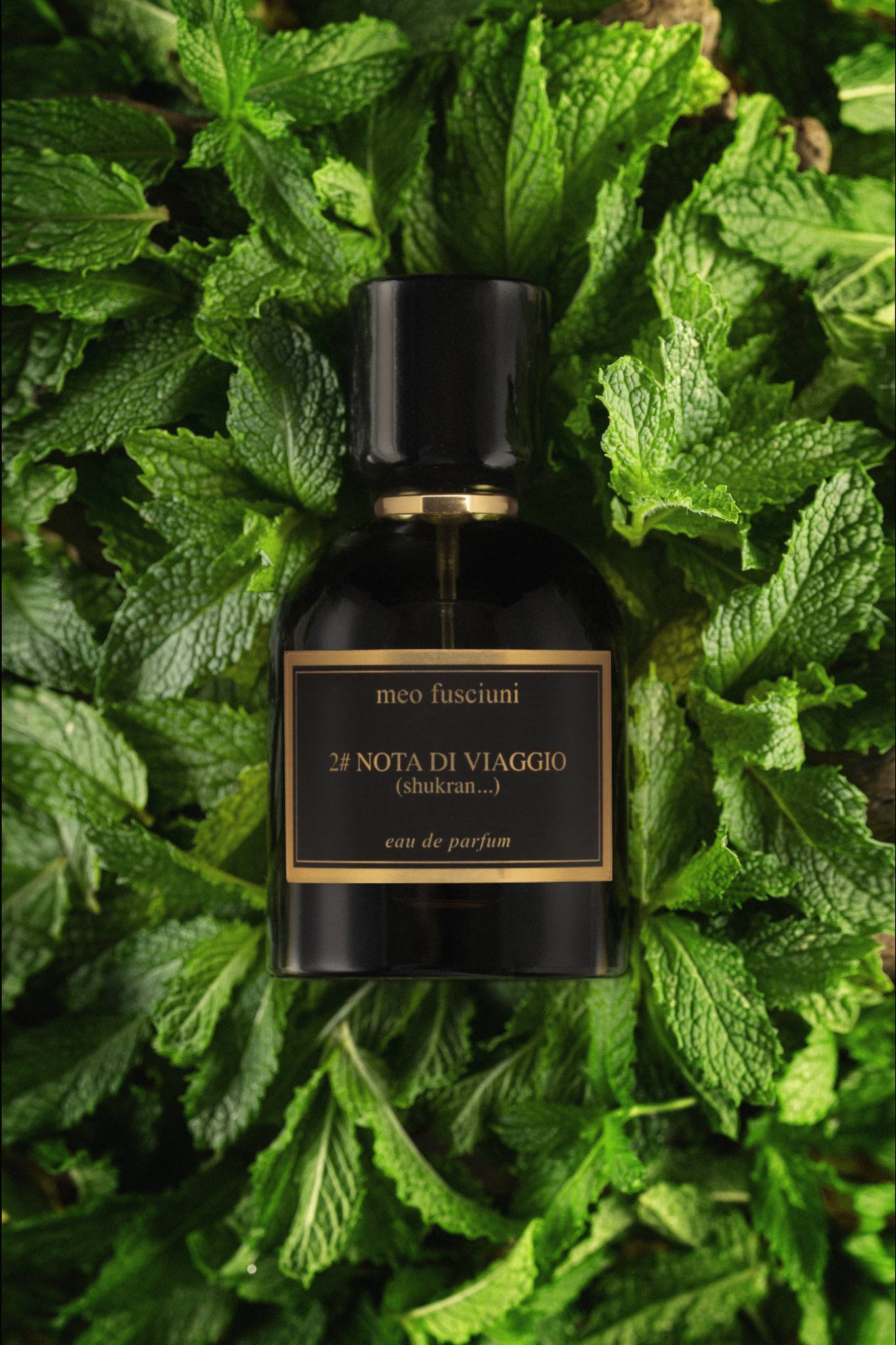 2# Nota di Viaggio (shukran...) - Meo Fusciuni - Eau de Parfum 100 ml